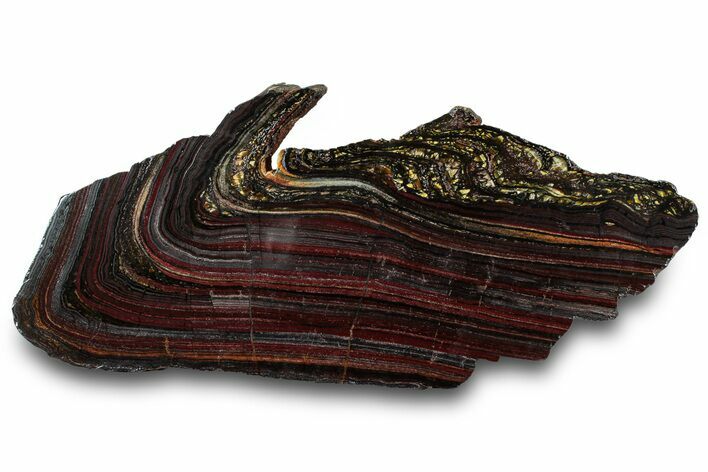 Polished Tiger Iron Stromatolite Slab - Billion Years #319438